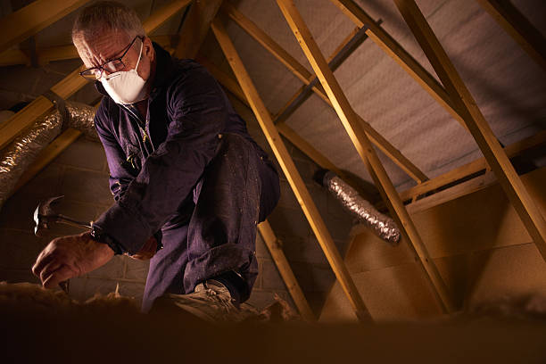 Best Commercial Insulation in San Bruno, CA
